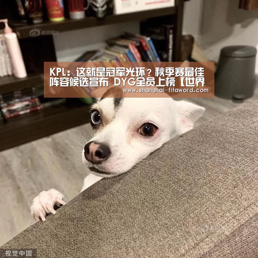 世界杯官方网站入口